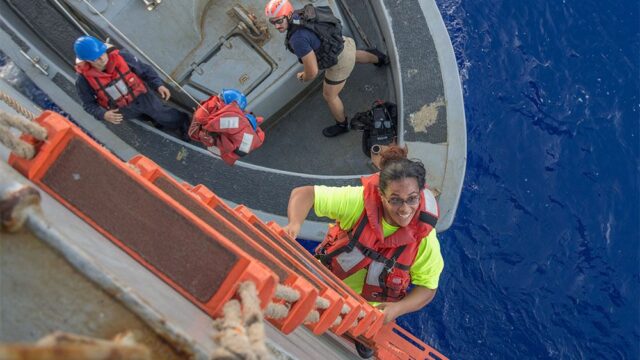 Американские военные спасли собак и женщин, которые пропали в океане полгода назад