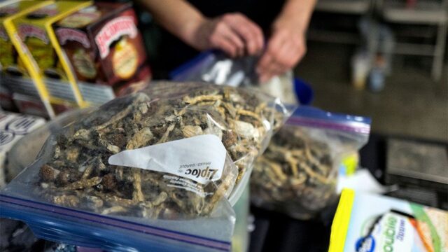 Жители Денвера на референдуме проголосовали за легализацию галлюциногенных грибов