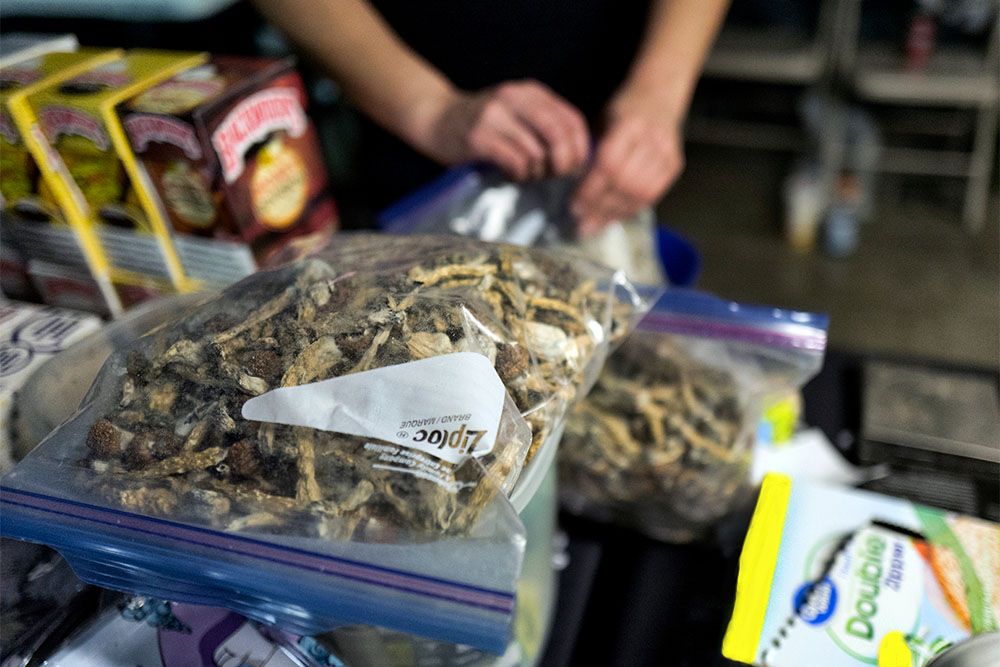 Жители Денвера на референдуме проголосовали за легализацию галлюциногенных грибов