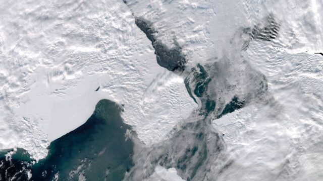 Ученые: площадь льдов в Беринговом море сократилась до минимума