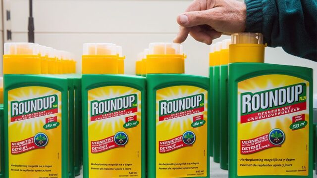 Супругам из Калифорнии присудили больше $2 млрд после жалобы, что средство от сорняков Roundup вызвало у них рак