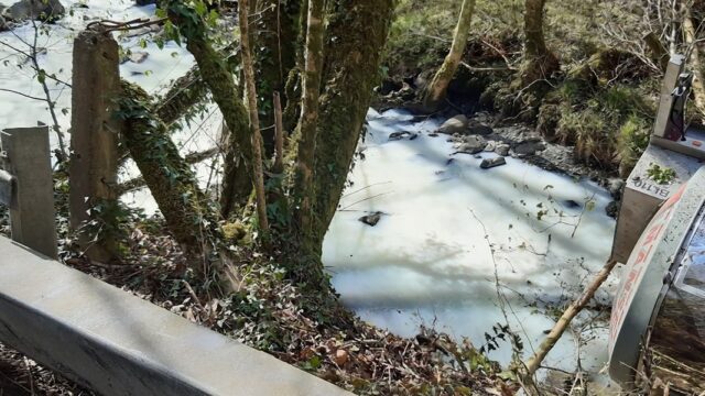 В Великобритании река стала «молочной‎» — туда пролилось 28 000 л жидкости