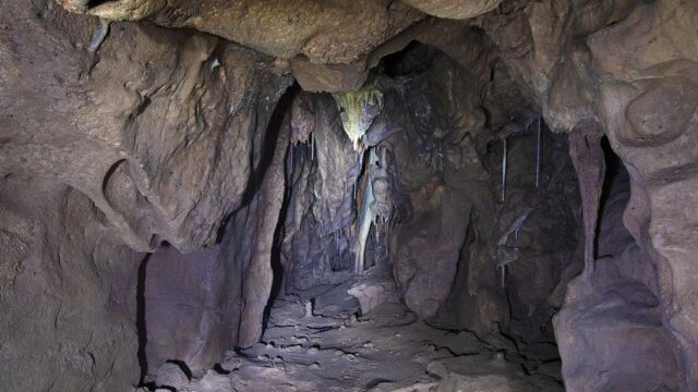 В скале Гибралтара нашли пещеру неандертальцев. Находку уже сравнили с открытием гробницы Тутанхамона