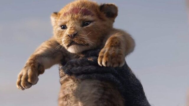 Disney опубликовал первый полноценный трейлер нового «Короля Льва» — там  есть Тимон и Пумба!
