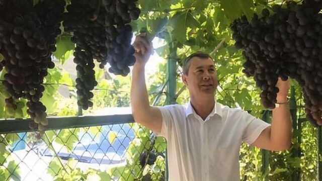 Baza: крымский депутат-единоросс насмерть сбил пенсионерку и скрылся с места ДТП