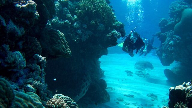 На Большом Барьерном рифе изменили правила безопасности из-за несчастных случаев с туристами