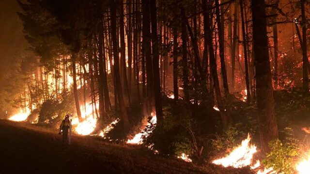 В Орегоне подростка, который устроил лесной пожар, обязали заплатить $36 млн