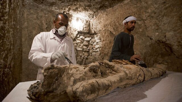 В Египте показали находки из недавно вскрытой гробницы