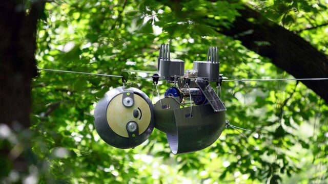 В американском институте придумали робота-ленивца. Он может годами вести наблюдение за животными, ничем себя не выдавая