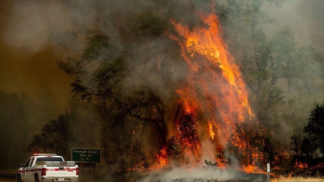 В Калифорнии эвакуировали десятки тысяч человек из-за лесного пожара
