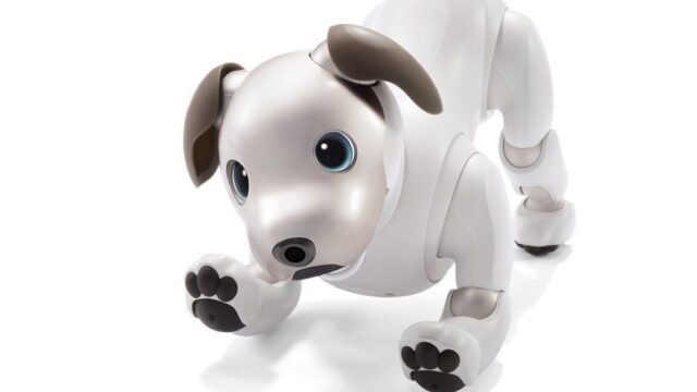 Sony представила роботов-собак с искусственным интеллектом
