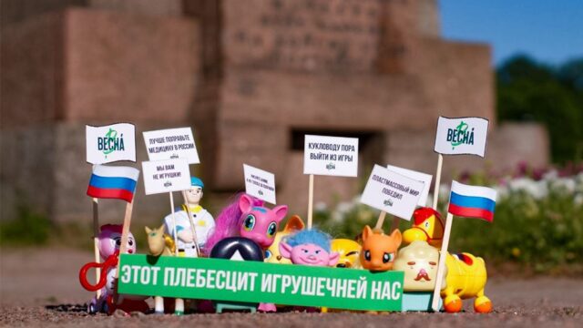 В Петербурге силовики пришли к активистке после «игрушечного митинга»