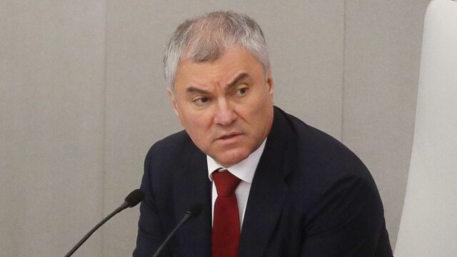 Володин предложил лишать гражданства «таких, как Овсянникова»