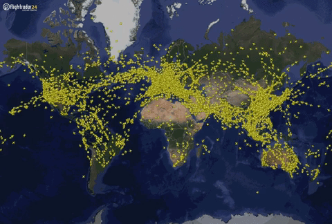 Сайт FlightRadar зафиксировал рекордное количество самолетов в небе за историю своих наблюдений