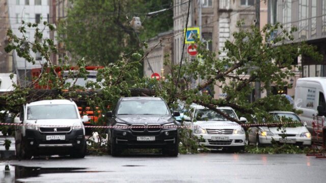 Число жертв урагана в Москве выросло до 17 человек