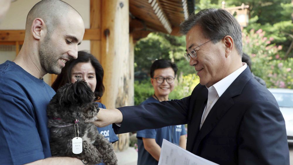 Власти КНДР подарили президенту Южной Кореи двух собак