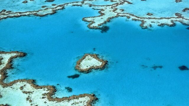 ЮНЕСКО не включила Большой Барьерный риф в список объектов «под угрозой»