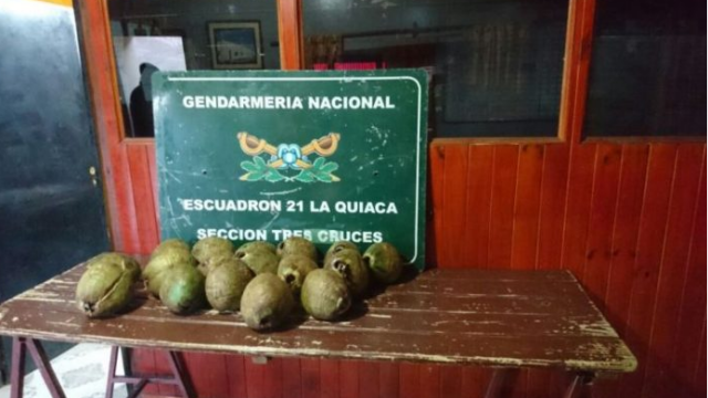 В Аргентине полиция обнаружила в кокосах 14,5 кг кокаина