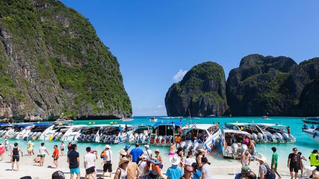 В Таиланде закрыли для туристов бухту, где снимали фильм «Пляж»