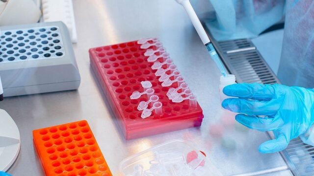 Во Франции обнаружили новый штамм коронавируса с 46 мутациями