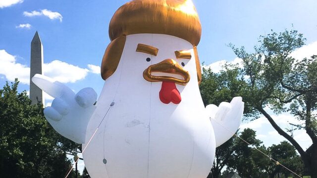 Около Белого дома поставили гигантского надувного цыпленка с прической Трампа