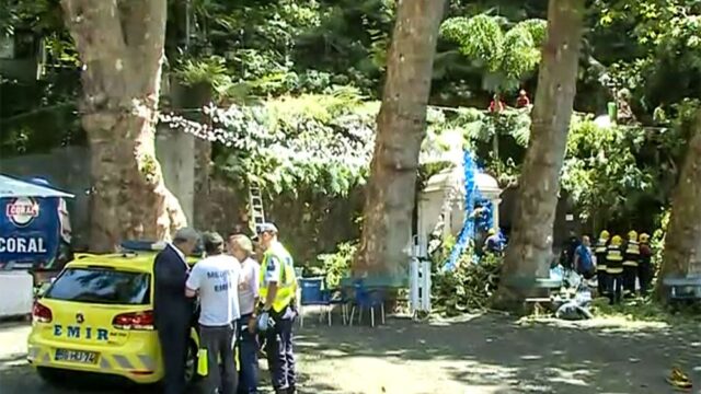 На острове Мадейра дерево упало на паломников. 11 человек погибли
