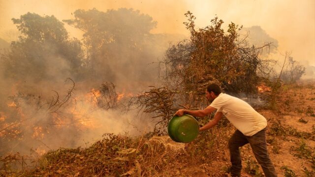 Пожары уничтожили 29% крупнейшего болота в мире