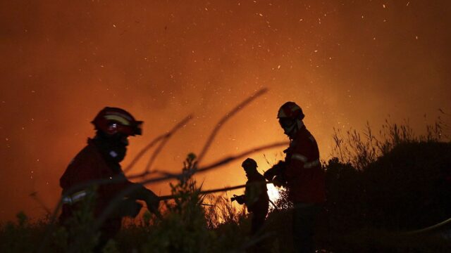 Не меньше 30 человек погибли из-за лесных пожаров в Португалии и Испании