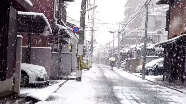 В Японии из-за сильного снегопада погибли несколько человек