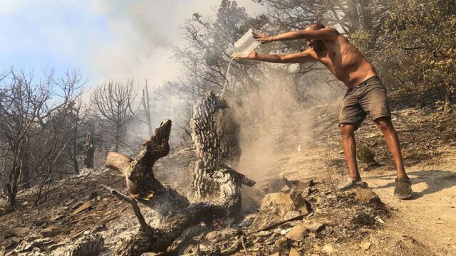 Недалеко от Анапы горит заповедник «Утриш»: фотогалерея