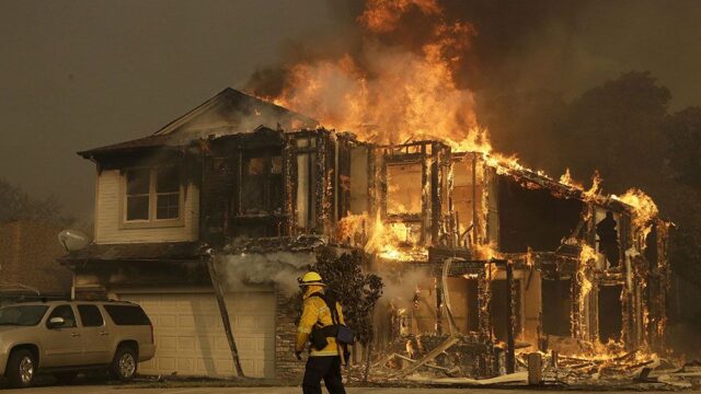 Не меньше десяти человек погибли из-за лесных пожаров в Калифорнии