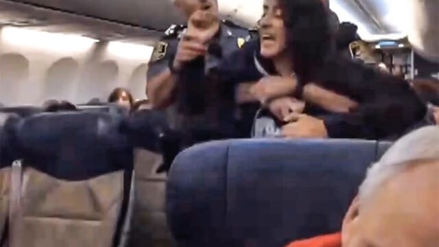 В Мэриленде женщину силой сняли с рейса, когда она пожаловалась на аллергию и отказалась покинуть самолет