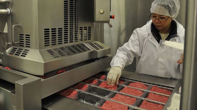 Евросоюз против России из-за запрета на импорт свинины: главное