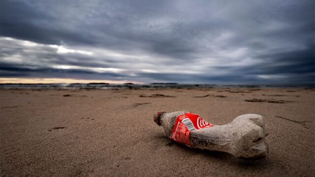 Экологи: Coca-Cola, PepsiCo и Nestlé третий год подряд стали главными пластиковыми загрязнителями в мире