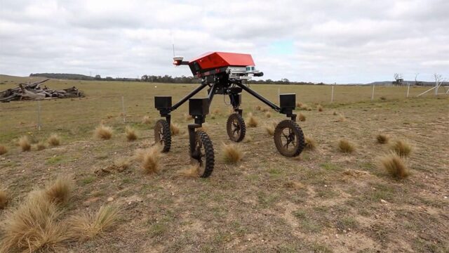 В Австралии создали робота для прополки полей
