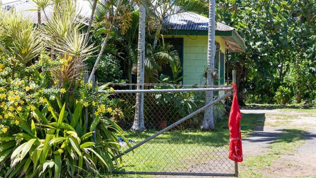 В Самоа отменили рабочие дни, чтобы провести всеобщую вакцинацию от кори