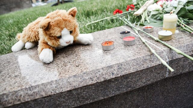 В Москве зоозащитники почтили молчанием память убитых собак: фотогалерея
