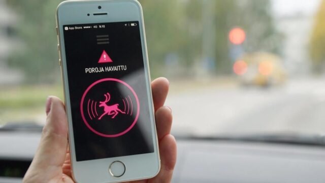 В Финляндии запустили приложение, которое позволяет отслеживать оленей на дорогах