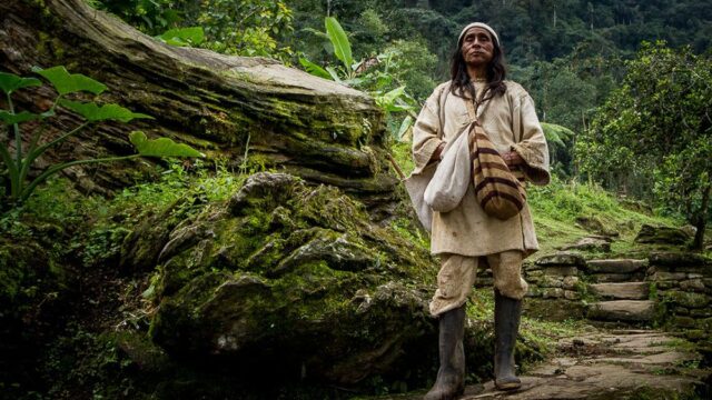 Защитники индейцев сняли в Бразилии на видео «самого одинокого человека на Земле»