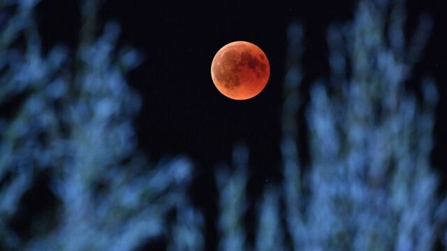 Полное затмение Луны: фотогалерея