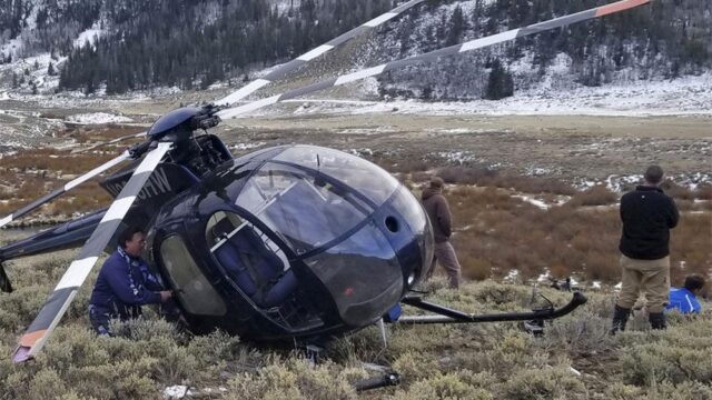 В Юте лось подпрыгнул и сбил вертолет с учеными