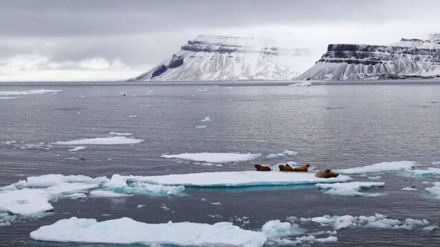 Сибирь прирастает полюсом: геофизики еле успевают за изменениями магнитного поля Земли