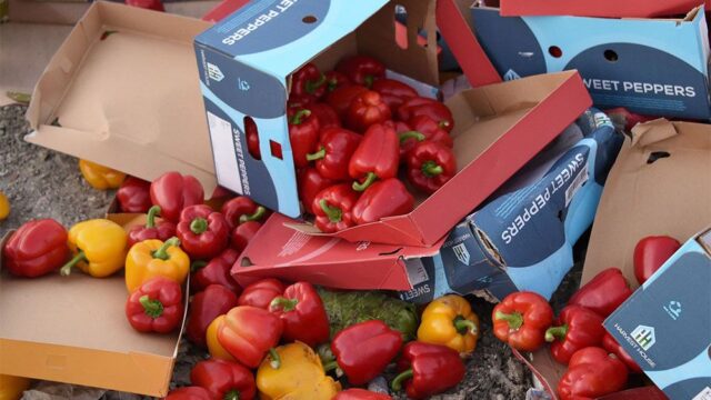 В России нельзя провозить больше пяти килограммов фруктов и овощей через границу. Но это не новость, а давнее правило