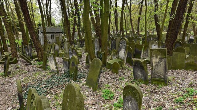 Польские власти дали $28 млн на реставрацию еврейского кладбища в Варшаве