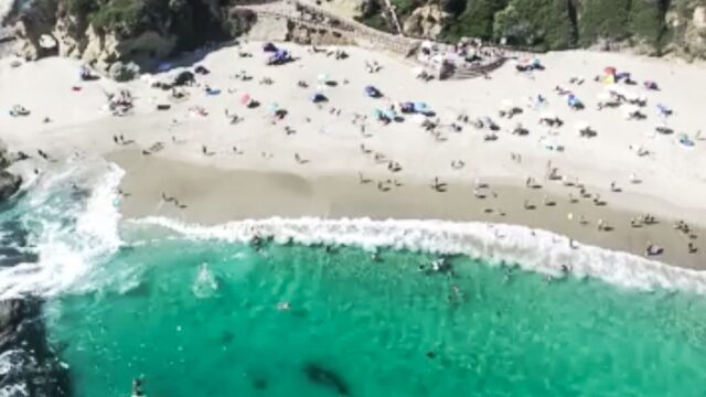 На калифорнийский пляж приплыл большой кит. Но там его никто не заметил