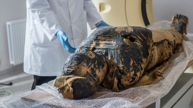 Археологи обнаружили первую египетскую мумию беременной женщины