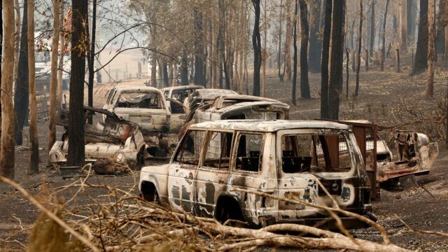 Премьер австралийского штата Новый Южный Уэльс ввел чрезвычайное положение из-за лесных пожаров