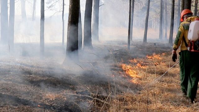 В Красноярском крае массово горят населенные пункты. Есть погибшие