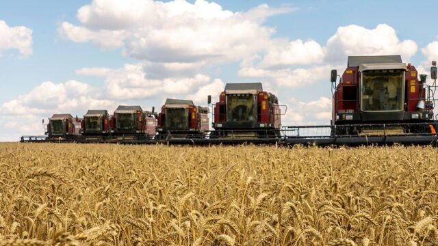 Россию обвинили в развязывании «зерновой войны». Москва в ответ говорит о «лукавстве Запада»