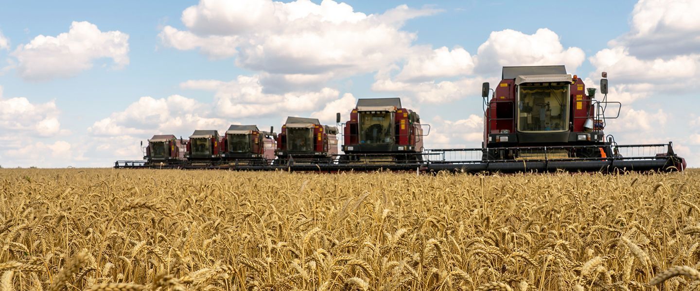 Россию обвинили в развязывании «зерновой войны». Москва в ответ говорит о «лукавстве Запада»